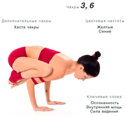 Иллюстрация к книге — Энергетика йоги. Практический курс [i_086.jpg]