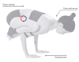 Иллюстрация к книге — Энергетика йоги. Практический курс [i_087.jpg]