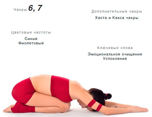 Иллюстрация к книге — Энергетика йоги. Практический курс [i_090.jpg]