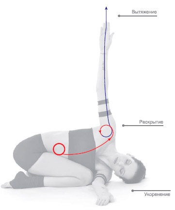 Иллюстрация к книге — Энергетика йоги. Практический курс [i_093.jpg]