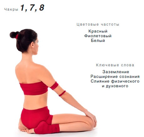 Иллюстрация к книге — Энергетика йоги. Практический курс [i_094.jpg]