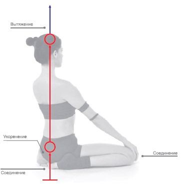 Иллюстрация к книге — Энергетика йоги. Практический курс [i_095.jpg]