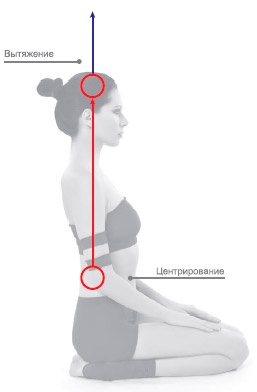 Иллюстрация к книге — Энергетика йоги. Практический курс [i_103.jpg]