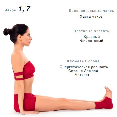 Иллюстрация к книге — Энергетика йоги. Практический курс [i_106.jpg]