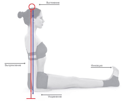 Иллюстрация к книге — Энергетика йоги. Практический курс [i_107.jpg]