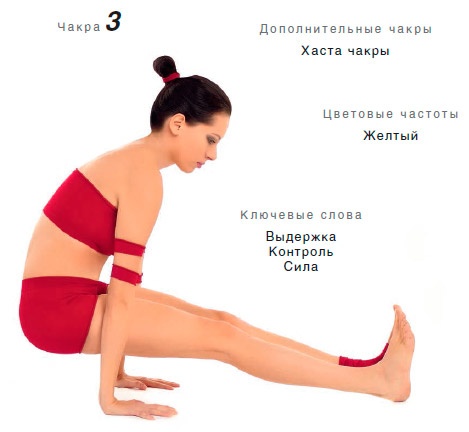 Иллюстрация к книге — Энергетика йоги. Практический курс [i_108.jpg]