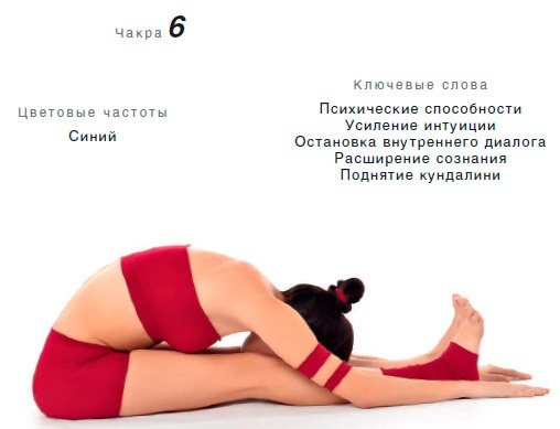 Иллюстрация к книге — Энергетика йоги. Практический курс [i_118.jpg]