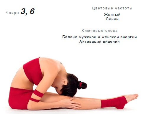 Иллюстрация к книге — Энергетика йоги. Практический курс [i_124.jpg]