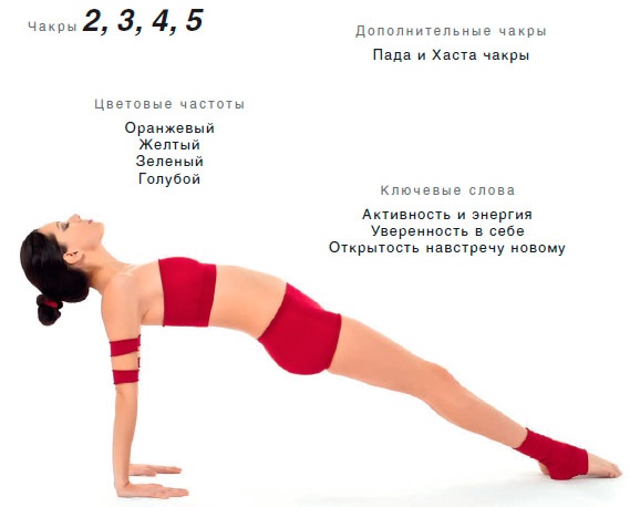 Иллюстрация к книге — Энергетика йоги. Практический курс [i_126.jpg]