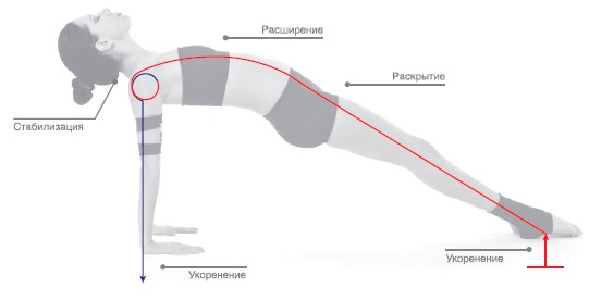 Иллюстрация к книге — Энергетика йоги. Практический курс [i_127.jpg]