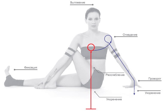 Иллюстрация к книге — Энергетика йоги. Практический курс [i_131.jpg]