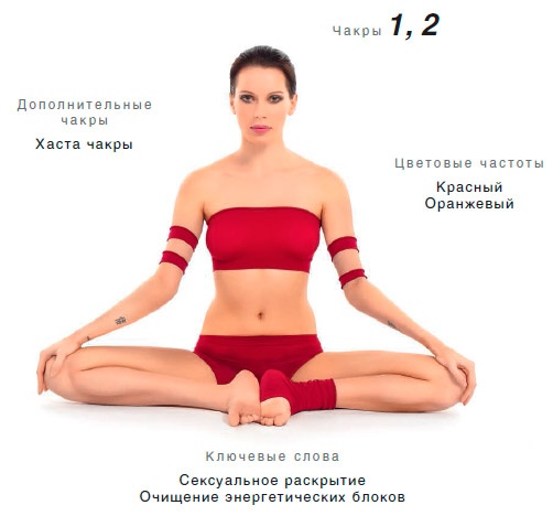 Иллюстрация к книге — Энергетика йоги. Практический курс [i_134.jpg]