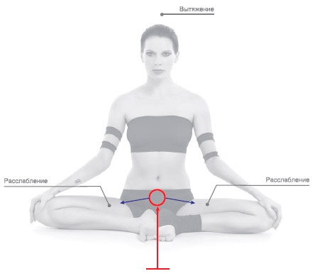 Иллюстрация к книге — Энергетика йоги. Практический курс [i_135.jpg]