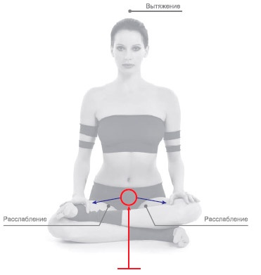 Иллюстрация к книге — Энергетика йоги. Практический курс [i_137.jpg]