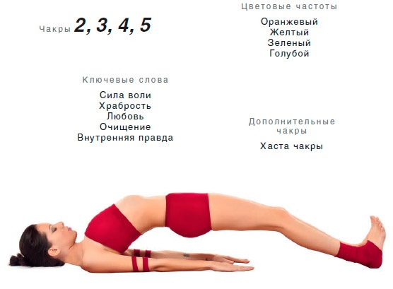 Иллюстрация к книге — Энергетика йоги. Практический курс [i_142.jpg]