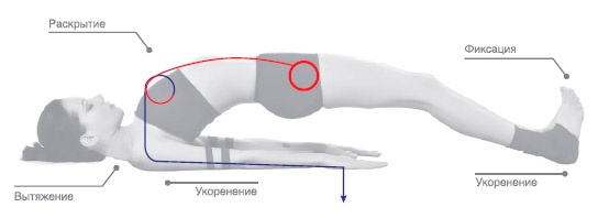 Иллюстрация к книге — Энергетика йоги. Практический курс [i_143.jpg]