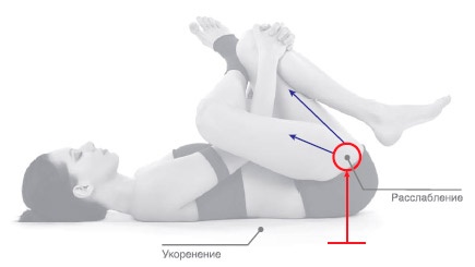 Иллюстрация к книге — Энергетика йоги. Практический курс [i_147.jpg]