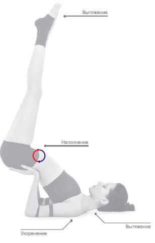 Иллюстрация к книге — Энергетика йоги. Практический курс [i_151.jpg]