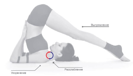 Иллюстрация к книге — Энергетика йоги. Практический курс [i_153.jpg]