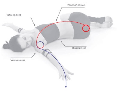 Иллюстрация к книге — Энергетика йоги. Практический курс [i_159.jpg]