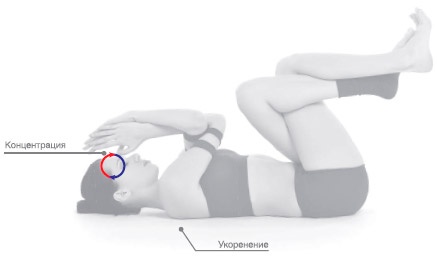 Иллюстрация к книге — Энергетика йоги. Практический курс [i_167.jpg]