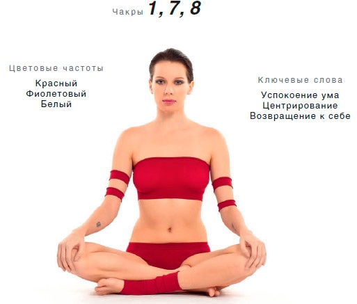 Иллюстрация к книге — Энергетика йоги. Практический курс [i_172.jpg]