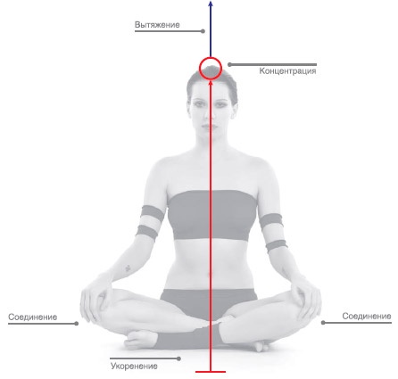 Иллюстрация к книге — Энергетика йоги. Практический курс [i_173.jpg]