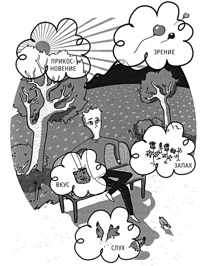 Иллюстрация к книге — Я не могу уснуть. Уникальная система избавления от бессонницы за 5 недель [i_014.jpg]