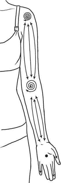 Иллюстрация к книге — Рефлексы любви и счастья [i_039.jpg]