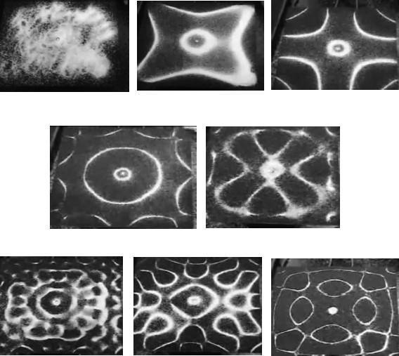 Иллюстрация к книге — Биогимнастика для лица: система фейсмионика [i_002.jpg]