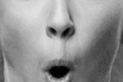 Иллюстрация к книге — Биогимнастика для лица: система фейсмионика [i_011.jpg]