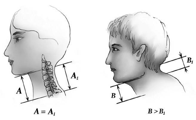 Иллюстрация к книге — Биогимнастика для лица: система фейсмионика [i_016.jpg]