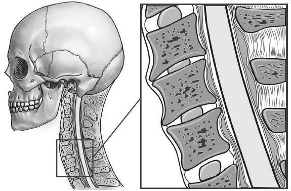 Иллюстрация к книге — Биогимнастика для лица: система фейсмионика [i_020.jpg]