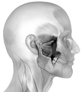 Иллюстрация к книге — Биогимнастика для лица: система фейсмионика [i_028.jpg]