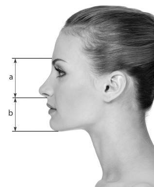 Иллюстрация к книге — Биогимнастика для лица: система фейсмионика [i_032.jpg]