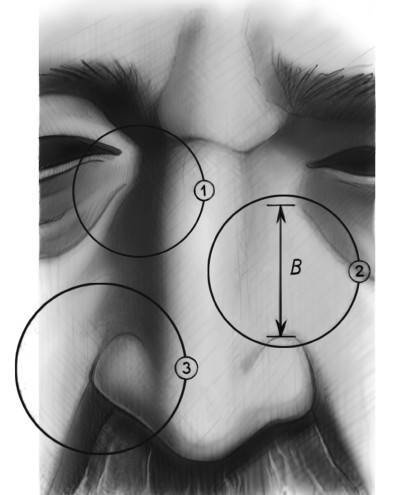Иллюстрация к книге — Биогимнастика для лица: система фейсмионика [i_049.jpg]