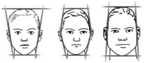 Иллюстрация к книге — Биогимнастика для лица: система фейсмионика [i_055.jpg]