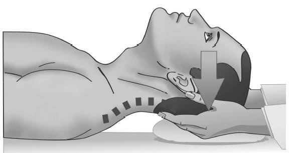 Иллюстрация к книге — Биогимнастика для лица: система фейсмионика [i_056.jpg]