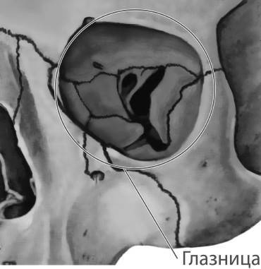 Иллюстрация к книге — Биогимнастика для лица: система фейсмионика [i_059.jpg]