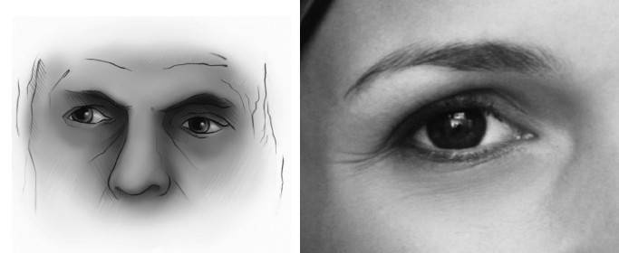 Иллюстрация к книге — Биогимнастика для лица: система фейсмионика [i_060.jpg]