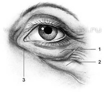 Иллюстрация к книге — Биогимнастика для лица: система фейсмионика [i_064.jpg]