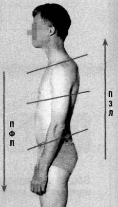 Иллюстрация к книге — Биогимнастика для лица: система фейсмионика [i_074.jpg]
