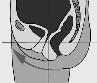 Иллюстрация к книге — Биогимнастика для лица: система фейсмионика [i_083.jpg]