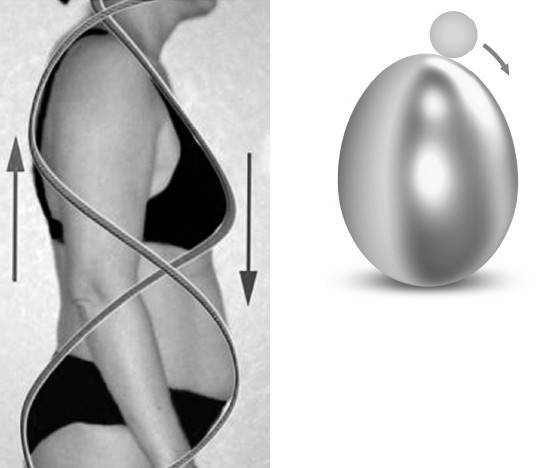 Иллюстрация к книге — Биогимнастика для лица: система фейсмионика [i_086.jpg]