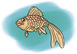 Иллюстрация к книге — Тайна Полины [i_016.jpg]