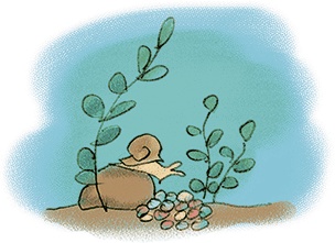 Иллюстрация к книге — Тайна Полины [i_031.jpg]