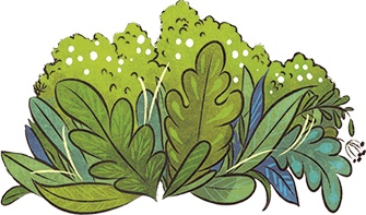 Иллюстрация к книге — Леська и людоед [i_028.jpg]