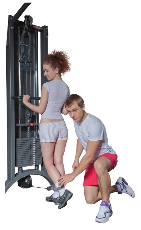 Иллюстрация к книге — Любовь и фитнес в вашей жизни [Autogen_eBook_id101.jpg]