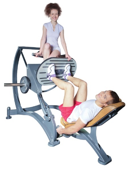 Иллюстрация к книге — Любовь и фитнес в вашей жизни [Autogen_eBook_id107.jpg]