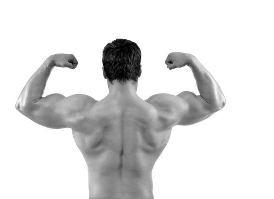 Иллюстрация к книге — Любовь и фитнес в вашей жизни [Autogen_eBook_id8.jpg]